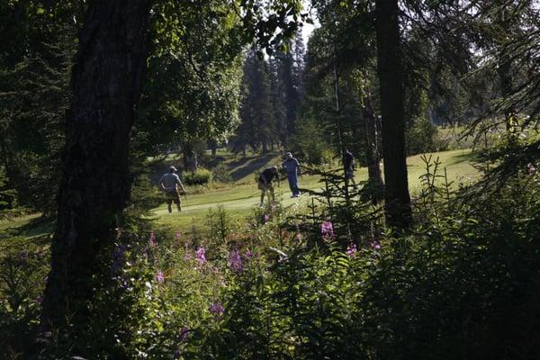 Golfers through the fireweed.