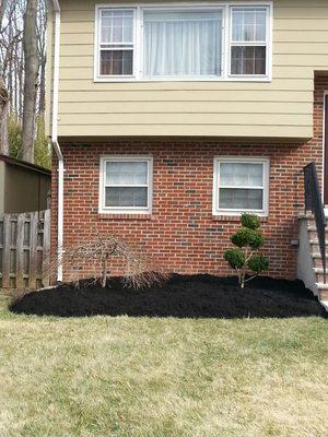 Mulch job.