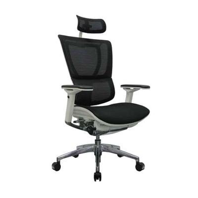 Ergonomic Seating