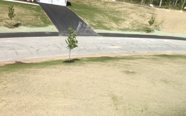 Follow up to re-seed along sidewalk