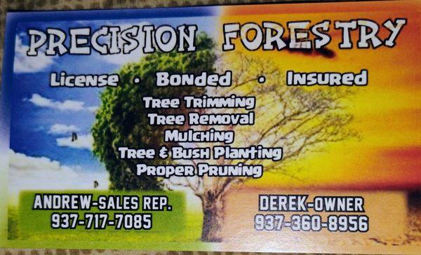 Precision Forestry