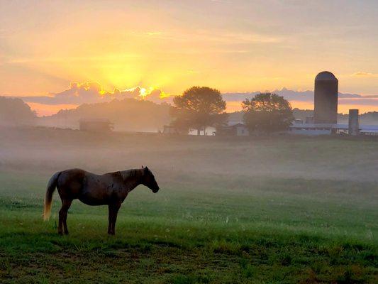 Peaceful beauty abounds!