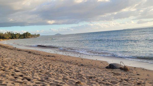 Waipuilani Park