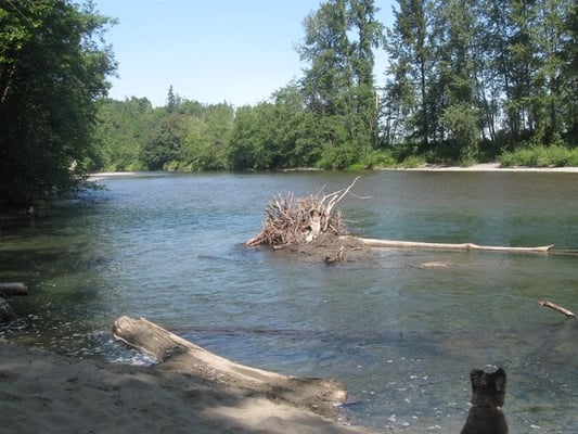 View from the riverfront