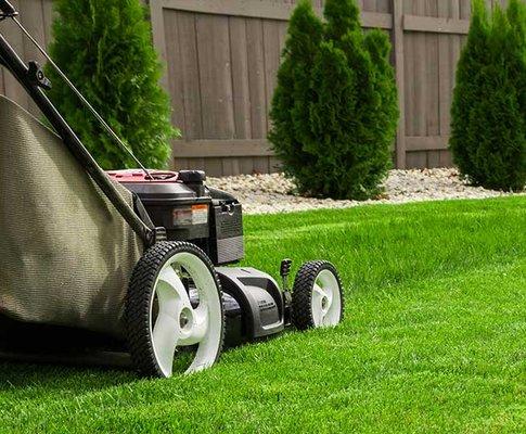 T&T Lawn Maintenance