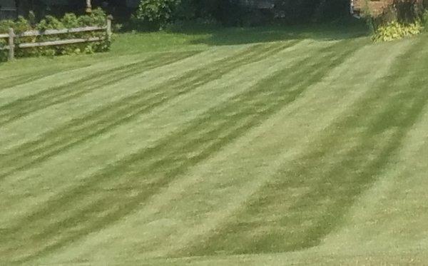 SMART Green Lawns program customer's lawn in Mount Horeb