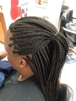 Medium size single braids