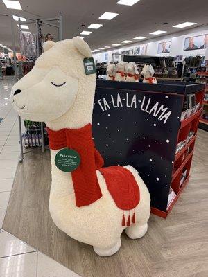 $600 llama