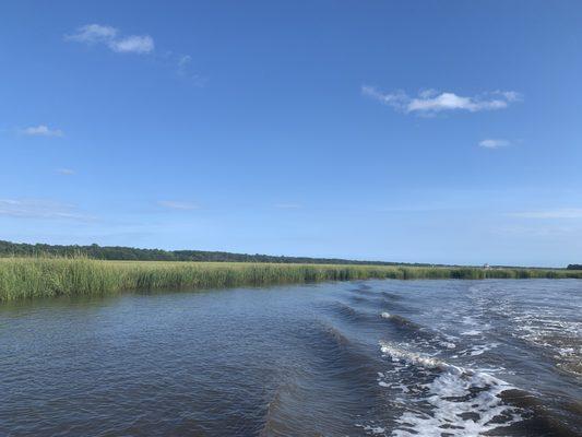 Boating on the Stono River