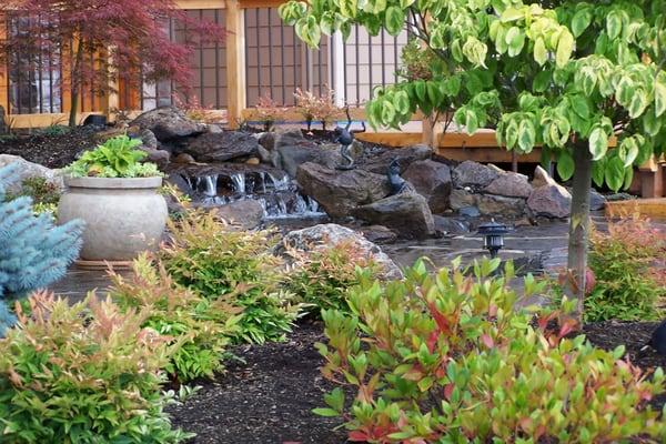 A view through the softscaping in the front yard to the water fall.