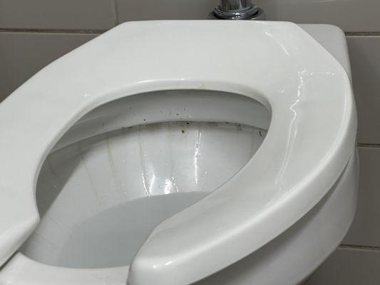 Uncleaned toilets