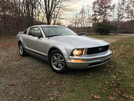 Thanks Spitzer Ford!! 2005 Mustang V6 Premium with all the options! Great price, so good I feel like I stole this pony!