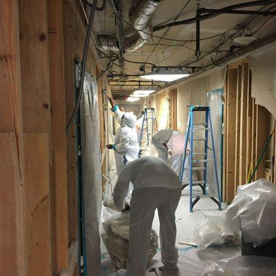 commercial mold remediation