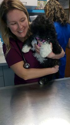 Transit Valley Animal Hospital