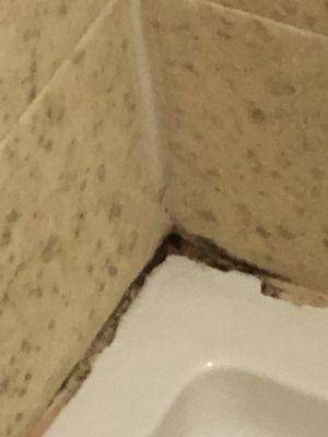 Corner of shower