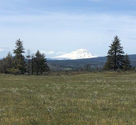 View of Mt Adams from a project in Goldendale WA