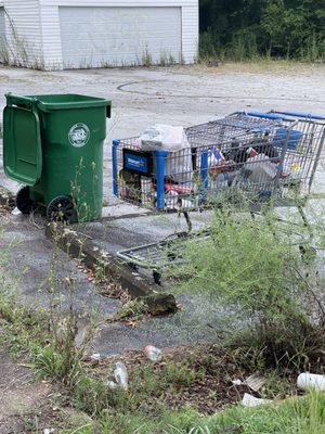 Walmart shopping cart with thrash