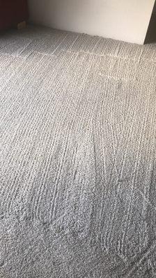 Carpet cleaning steam cleaning