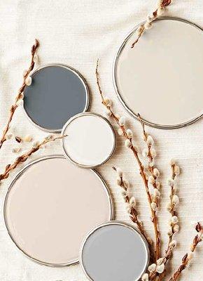 Neutral color palette