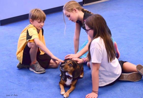 Therapy dog class