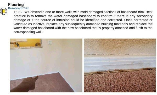 Molded baseboards should indicates previous water damage that was never corrected properly..