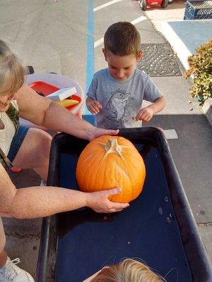 Fall sink and float experiment