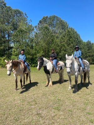 Saddletree Stables