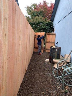 Fencing work