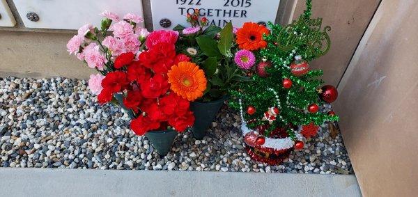 Dad's Flowers and Christmas Tree