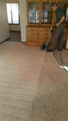 Distinctly clean cleaning carpets in Congerville, Bloomington, Peoria, IL