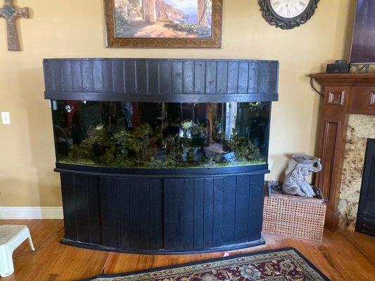 180 gallon salt water tank!  Everything included! $2,000.00