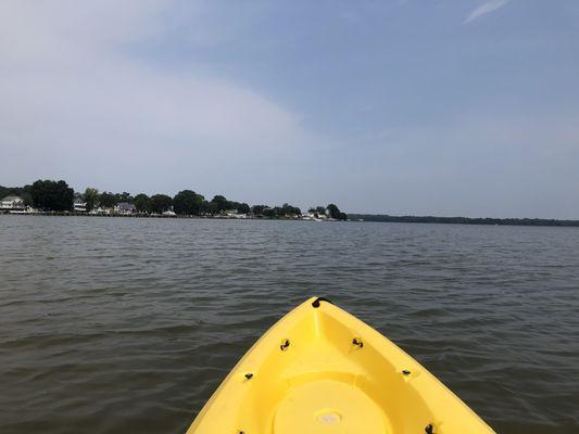 View from my rented kayak