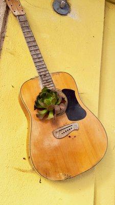 Succulents in guitars