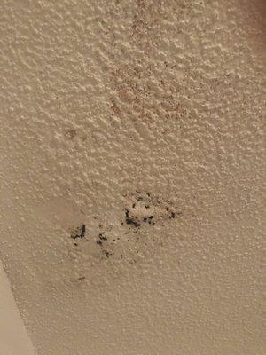 Mold In Bathroom 2