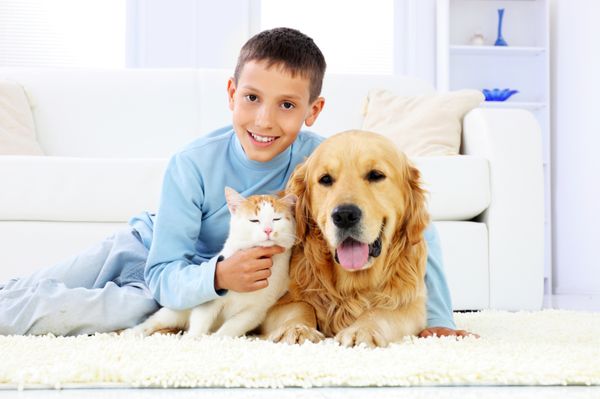 We love our homes, but we love our pets too. Sometimes our pets can make our home stink...