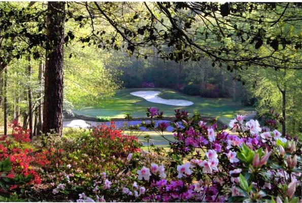 Robert Trent Jones Sr. Lake Course #8.