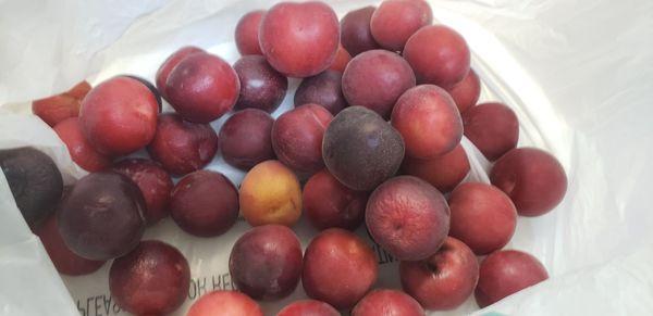 3 pounds of baby plums for $2.