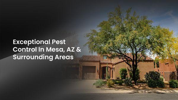 Pest Pro LLC