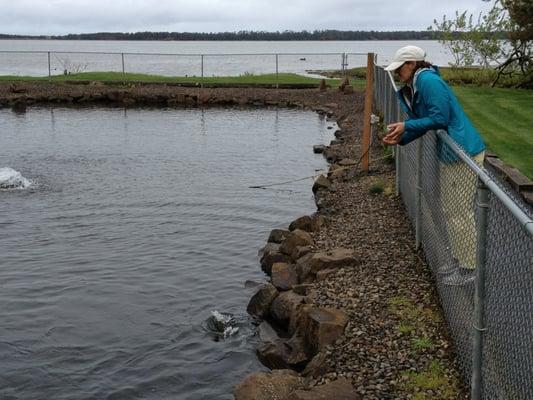 Whiskey Creek Fish Hatchery