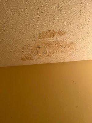 Ceiling damage