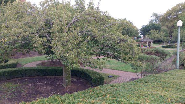 Sunken Garden