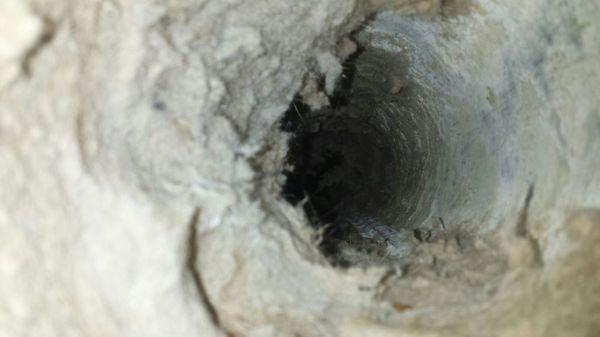 Dryer Vent was supposedly cleaned by Accurate Care Services in Port St. Lucie, FL. 10 minutes in and out doesn't get the job done!