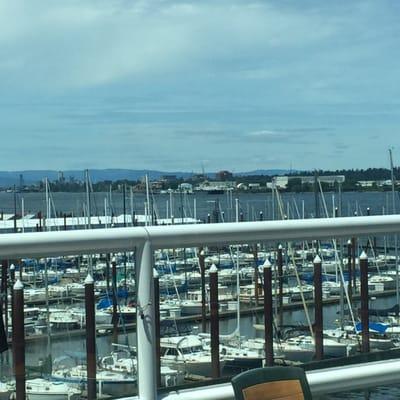 Marina view from Salty's