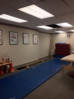 Neurological Reorganization Room