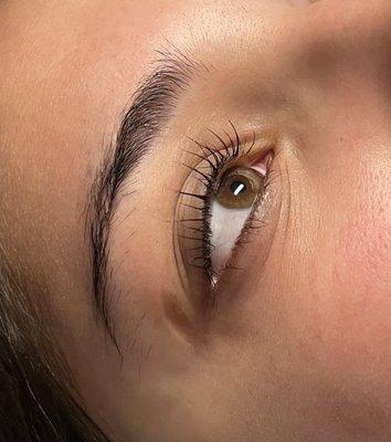 lash lift and tint