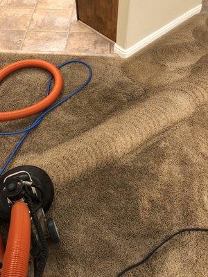 Dramatic carpet restoration cleaning is so rewarding!