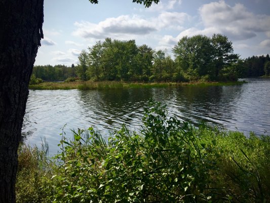 boats or shoreline fishing available