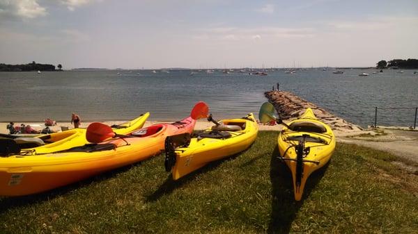 Kayak Rentals, Lessons and Guided Tours