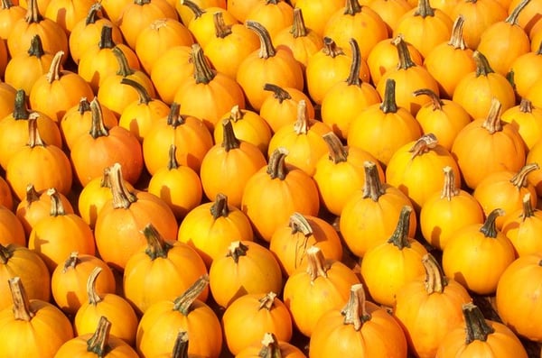 Pumpkins, gourds, mums, and all types of fall decorations in Late Sept.-Oct.