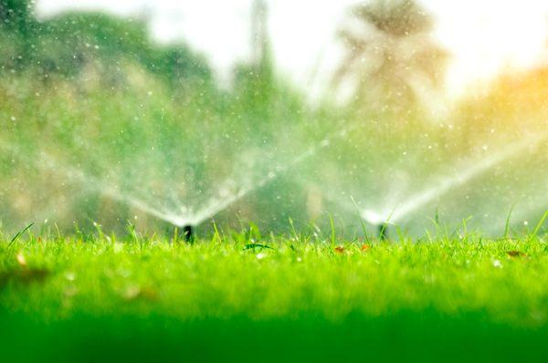 Yep, we make rain.  Irrigation installation and repair.